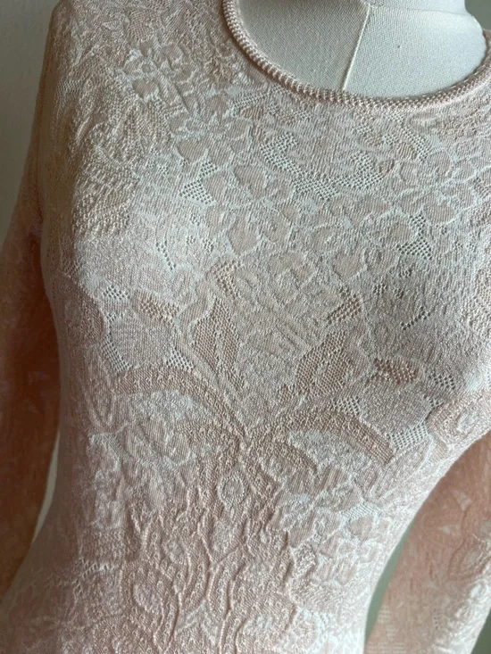 Alexander McQueen Pale Blush Lace Long-Sleeve Mini Dress - Picture 3 of 9